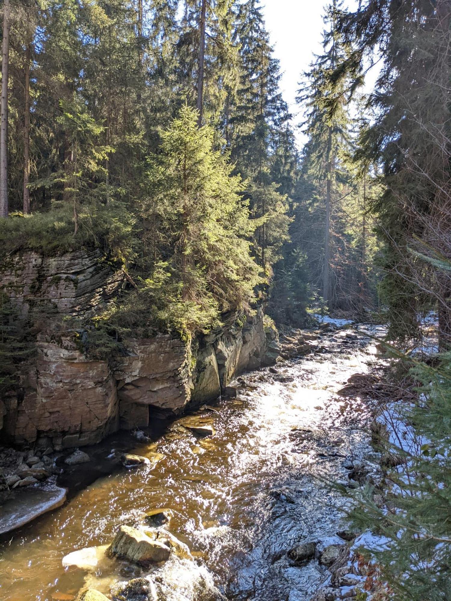 Ferienwohnung Muehl - Einfach Wohlfuehlen Мариенберг Экстерьер фото